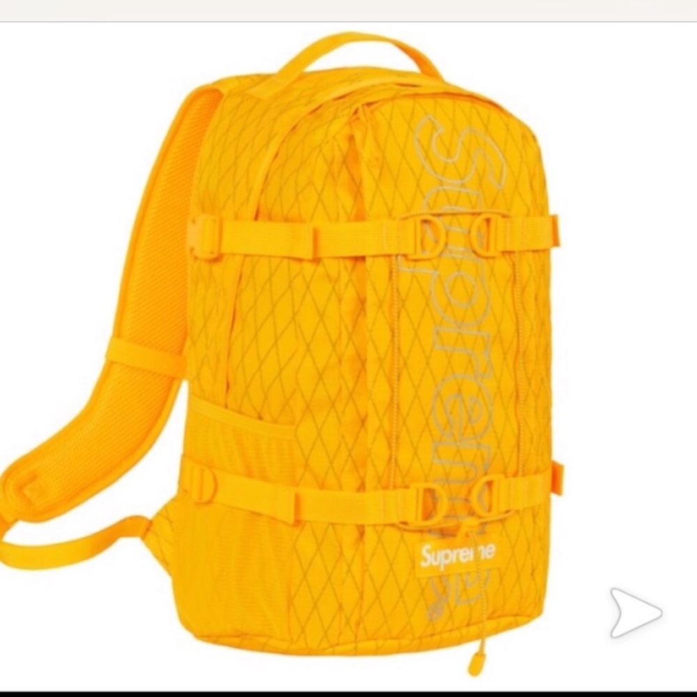 Meet your Posher, Dylan